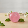 Apple Squishy – Green & Pink Squeeze Toy